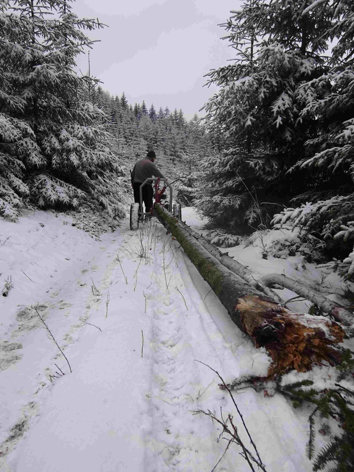 obr. č. 8: zimní svoz dřeva s M.Y.R. 50