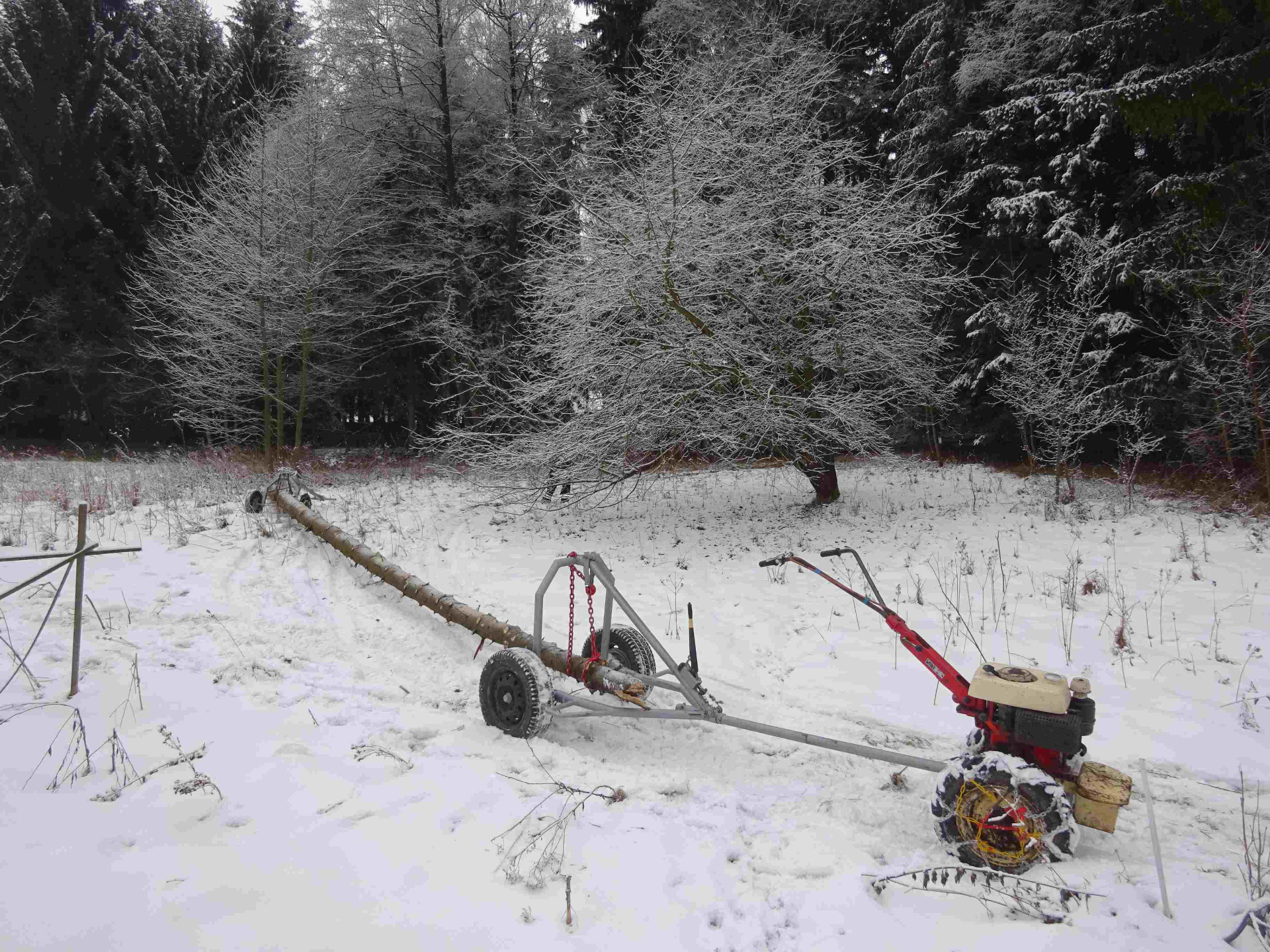 obr. 11: M.Y.R. 50 v soupravě s A.N.T. 50 při vytahování dřeva z lesa po silném větru