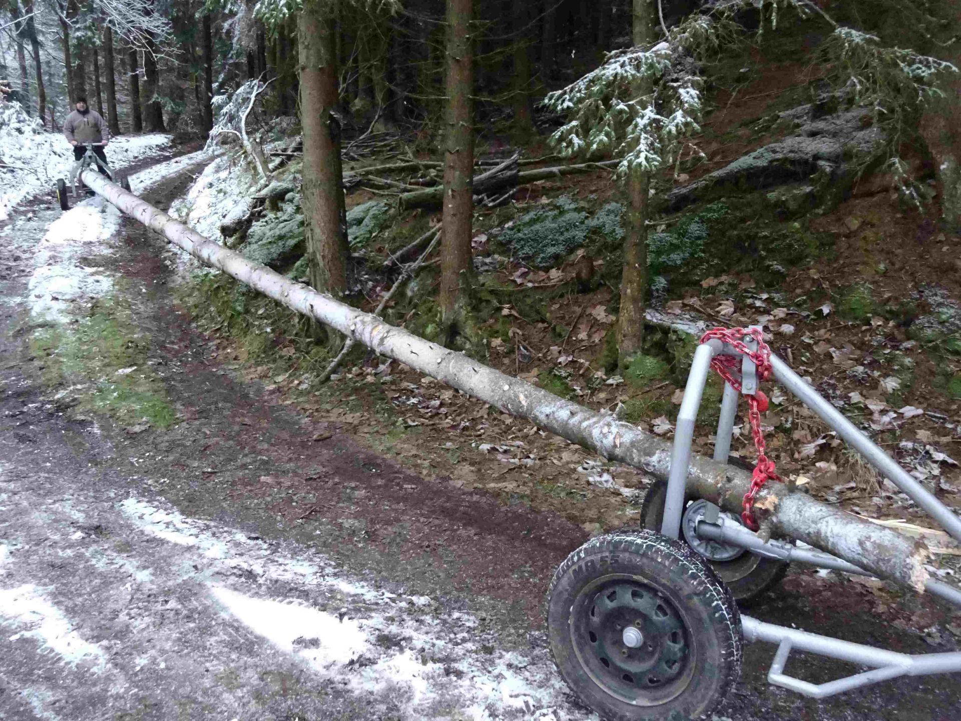 obr. č. 12: obr. 11: M.Y.R. 50 v soupravě s A.N.T. 50 při zimním svážení dřeva